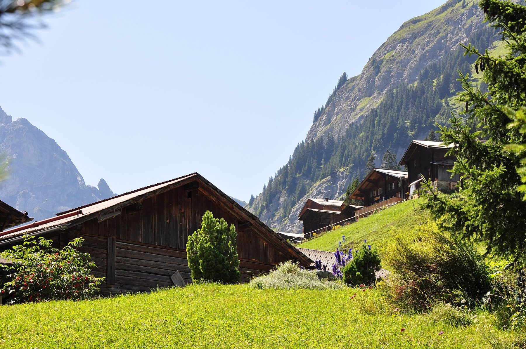 Gimmelwald 🏡🌿